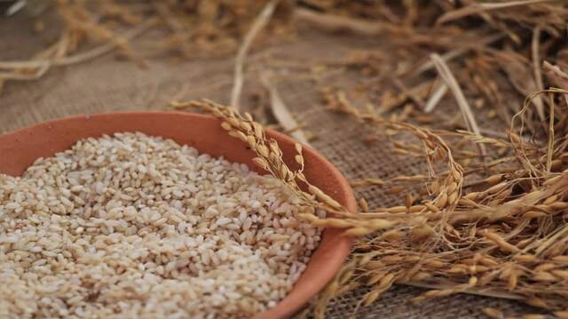 rice3