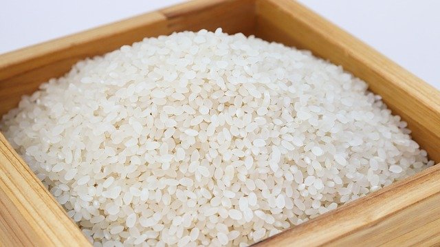 rice4